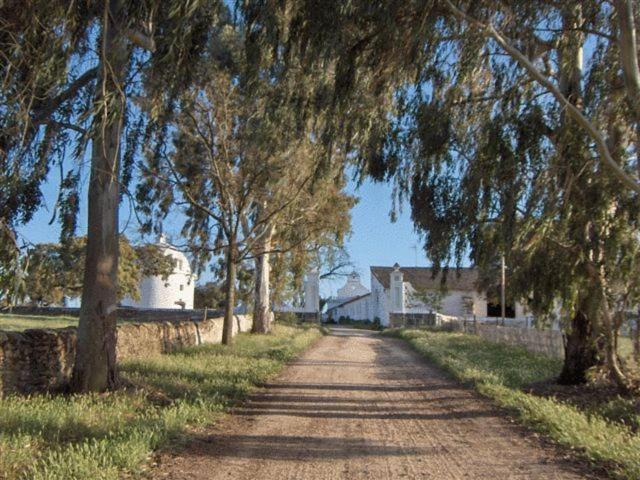 فندق Cacesفي  Alojamiento Rural Historico El Vaqueril المظهر الخارجي الصورة