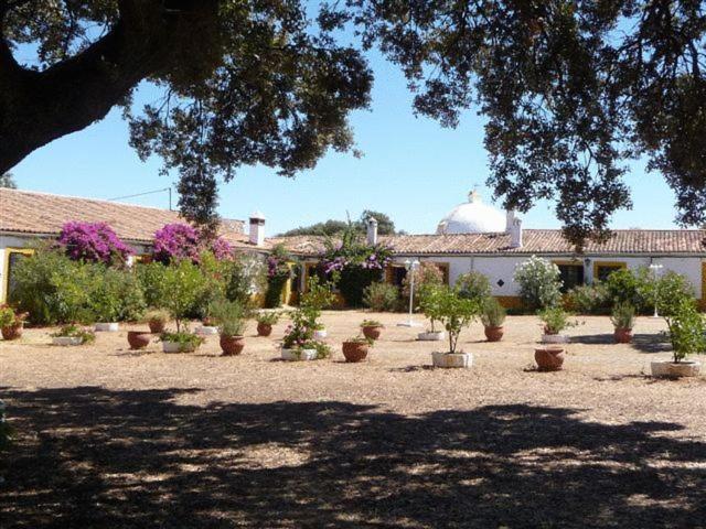 فندق Cacesفي  Alojamiento Rural Historico El Vaqueril المظهر الخارجي الصورة