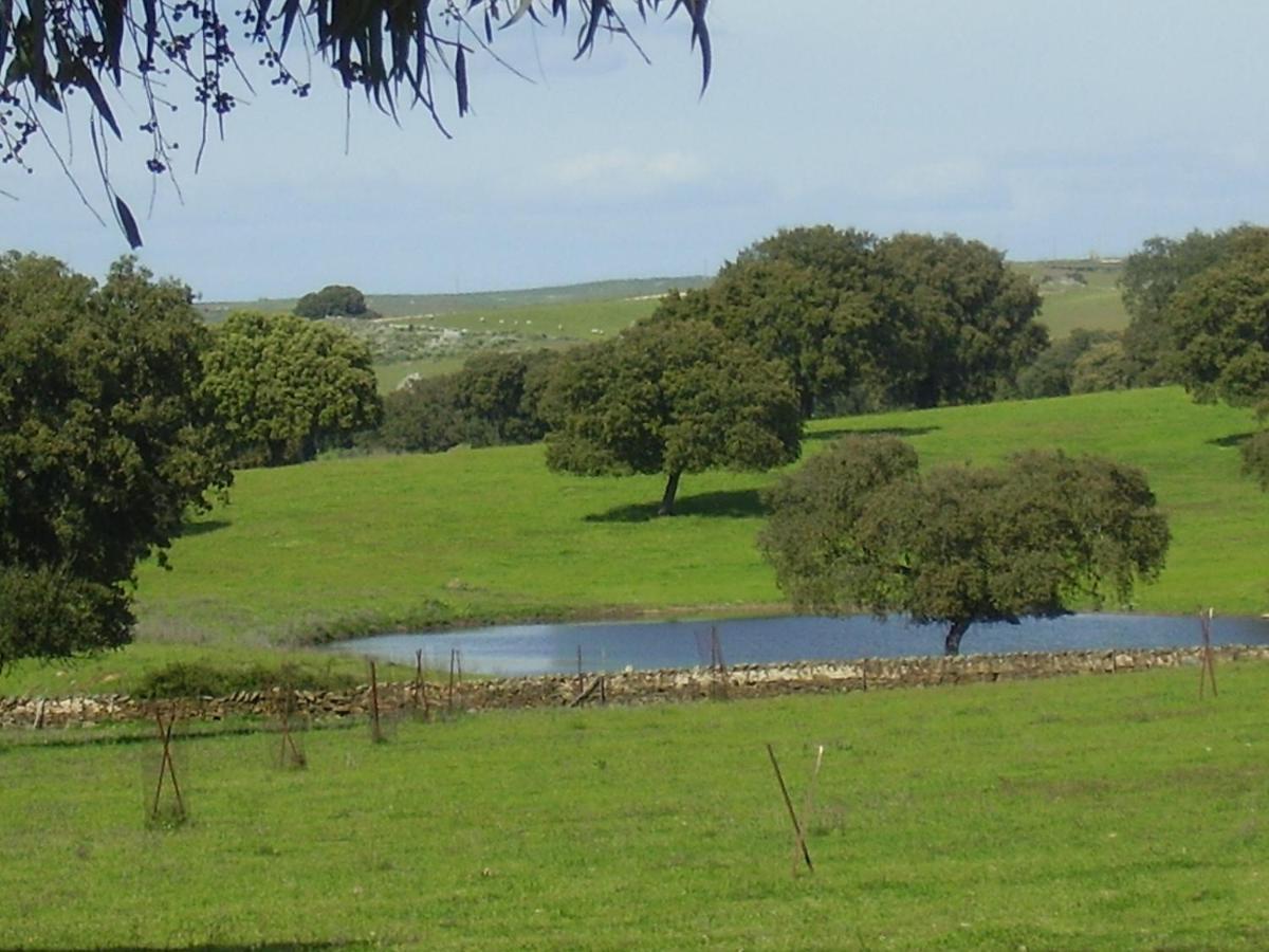 فندق Cacesفي  Alojamiento Rural Historico El Vaqueril المظهر الخارجي الصورة