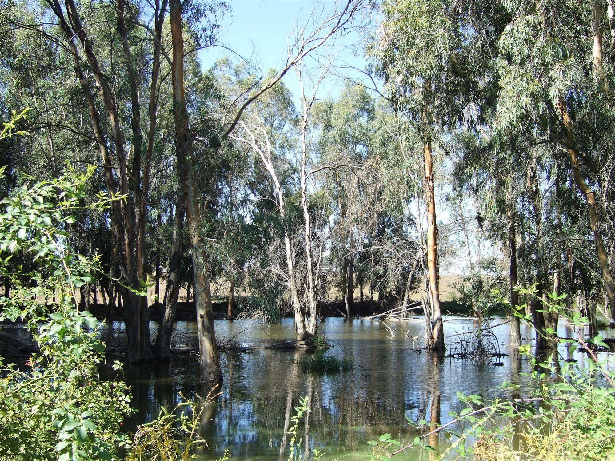 فندق Cacesفي  Alojamiento Rural Historico El Vaqueril المظهر الخارجي الصورة